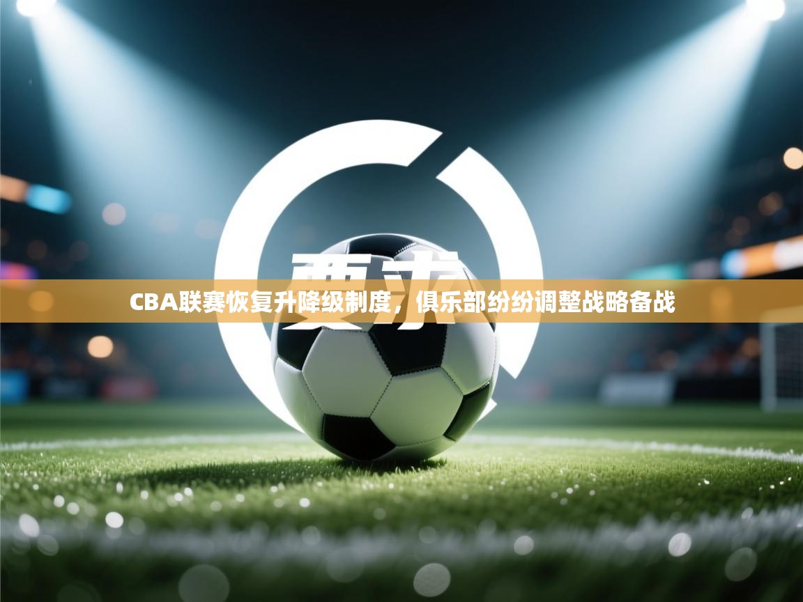 开云体育下载-CBA联赛恢复升降级制度，俱乐部纷纷调整战略备战  第2张