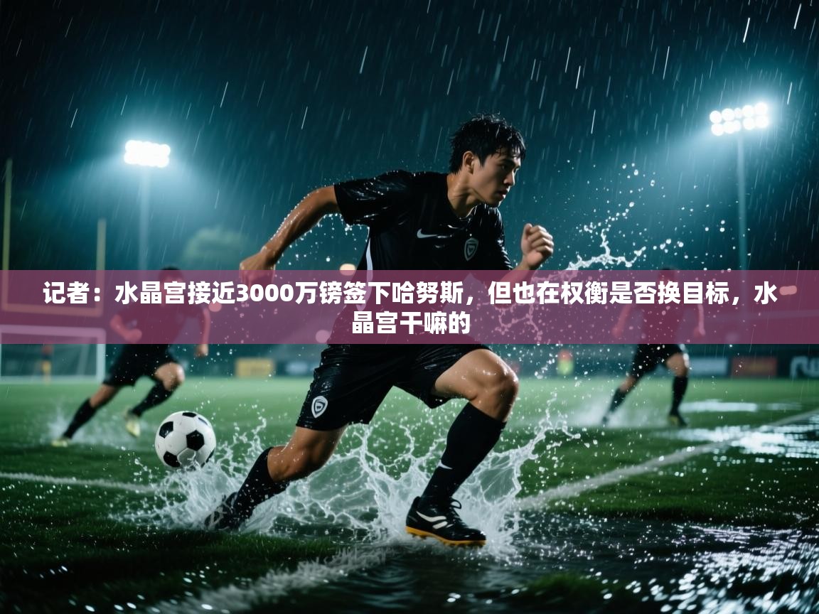 开云体育安装失败怎么办-记者：水晶宫接近3000万镑签下哈努斯，但也在权衡是否换目标，水晶宫干嘛的