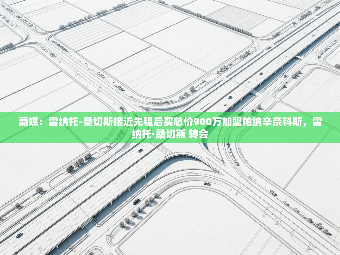 开云体育旧版下载地址-葡媒：雷纳托-桑切斯接近先租后买总价900万加盟帕纳辛奈科斯，雷纳托·桑切斯 转会