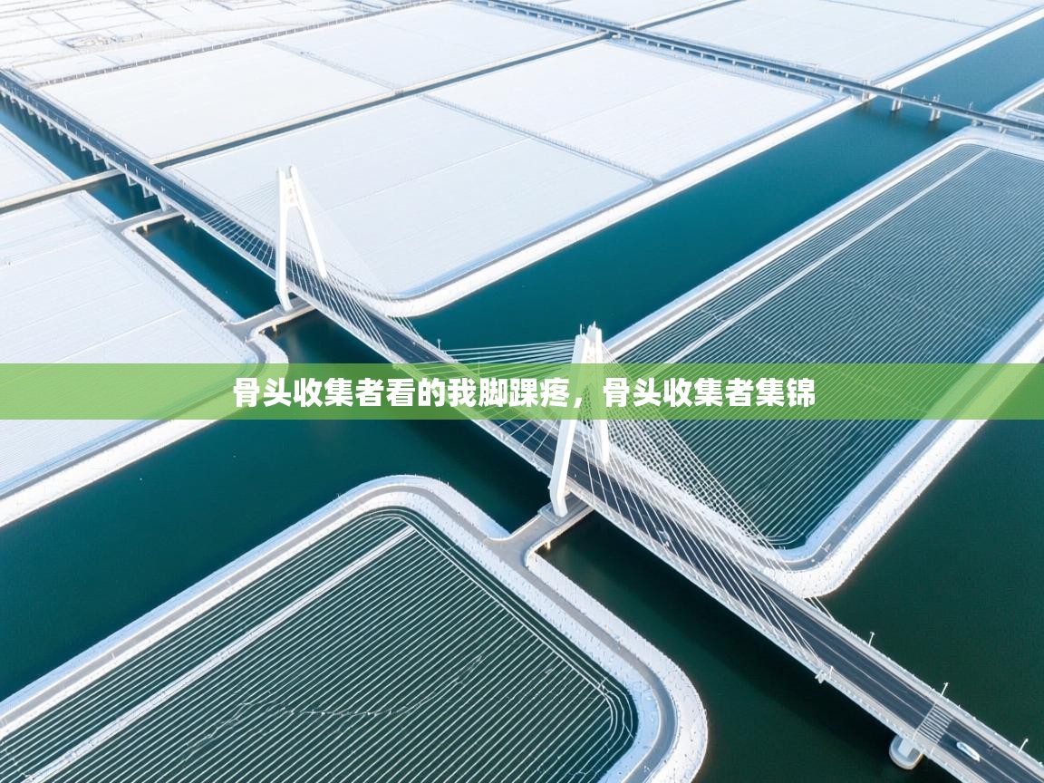 开云体育注册下载-骨头收集者看的我脚踝疼,骨头收集者集锦 第1张