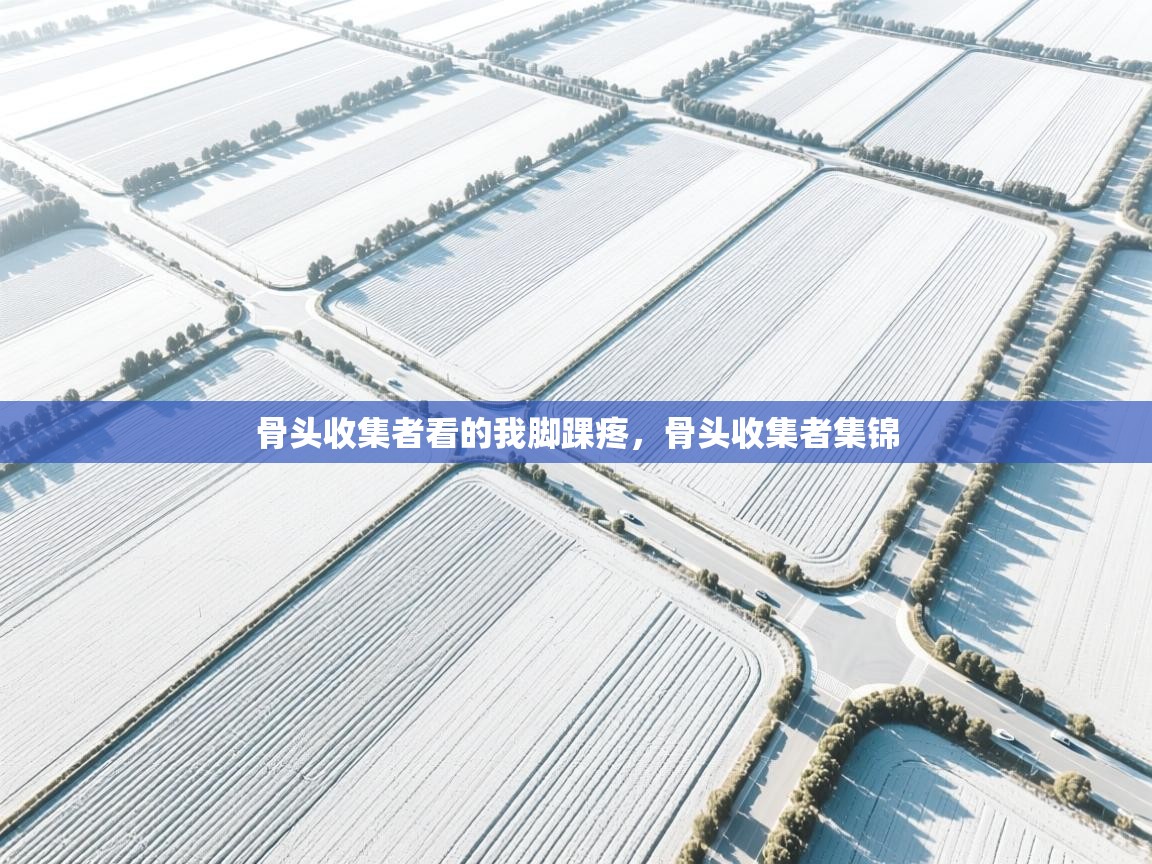 开云体育注册下载-骨头收集者看的我脚踝疼,骨头收集者集锦 第2张