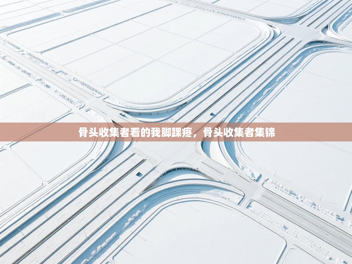 开云体育注册下载-骨头收集者看的我脚踝疼,骨头收集者集锦 第4张