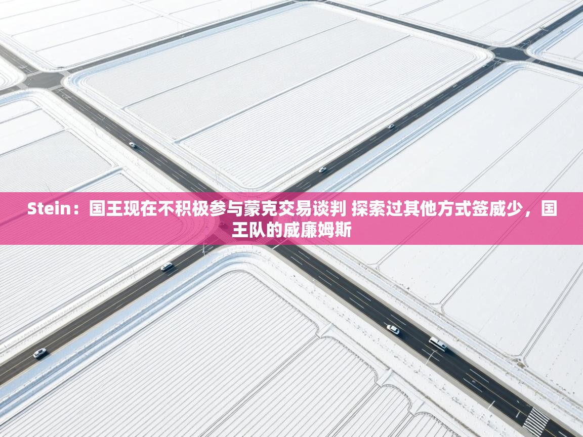 开云体育在线玩-Stein:国王现在不积极参与蒙克交易谈判 探索过其他方式签威少,国王队的威廉姆斯 第2张