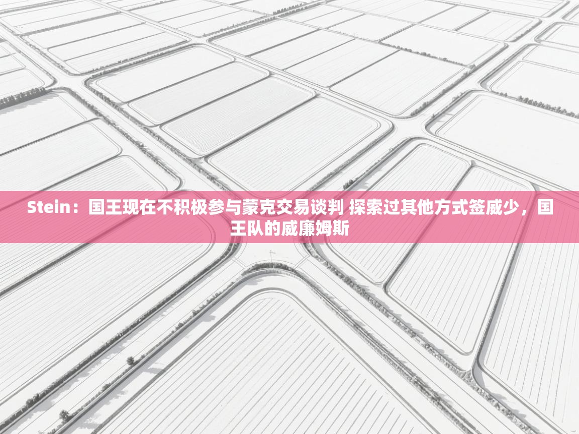 开云体育在线玩-Stein:国王现在不积极参与蒙克交易谈判 探索过其他方式签威少,国王队的威廉姆斯 第4张