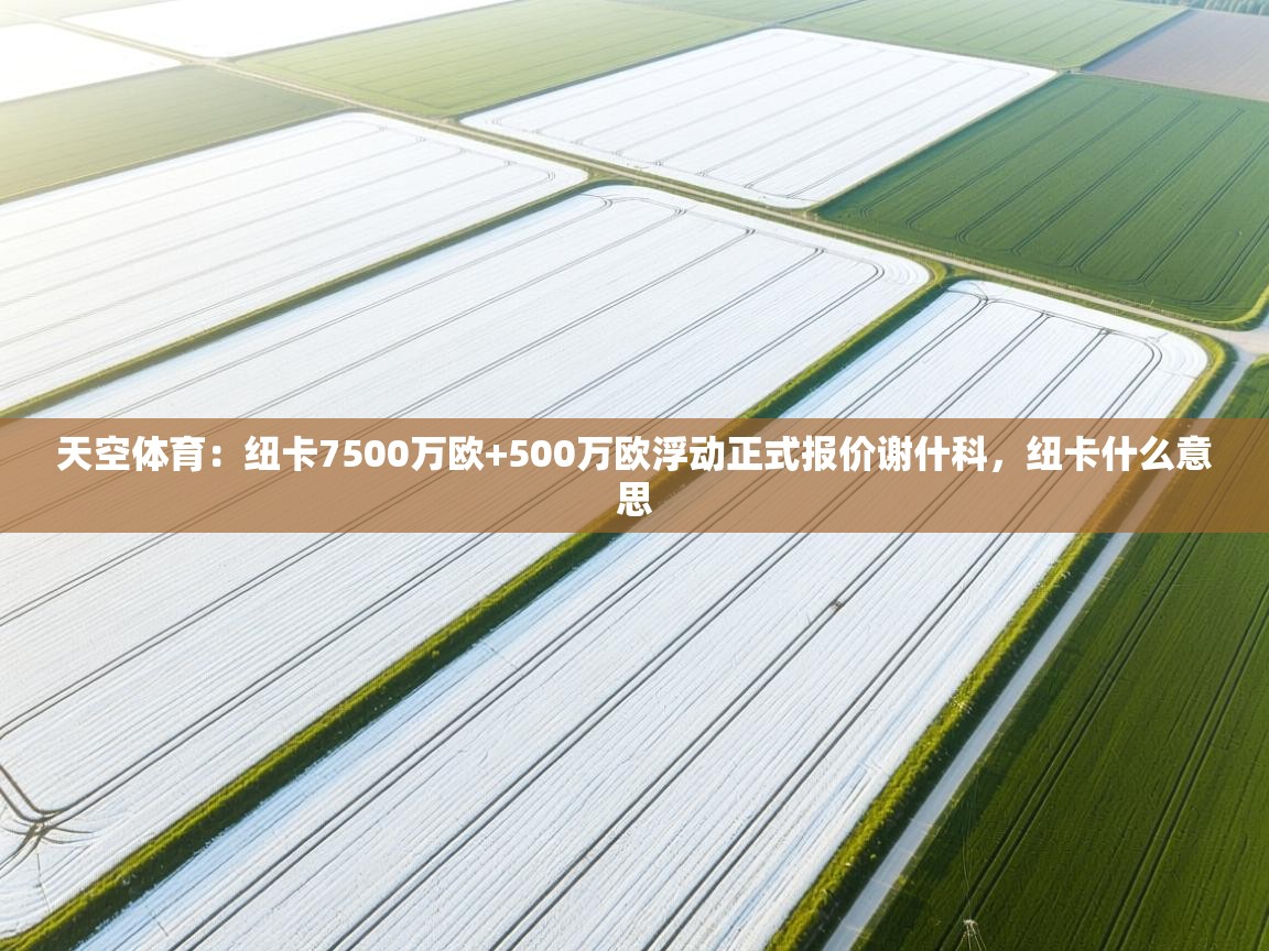 开云体育注册下载-天空体育:纽卡7500万欧+500万欧浮动正式报价谢什科,纽卡什么意思