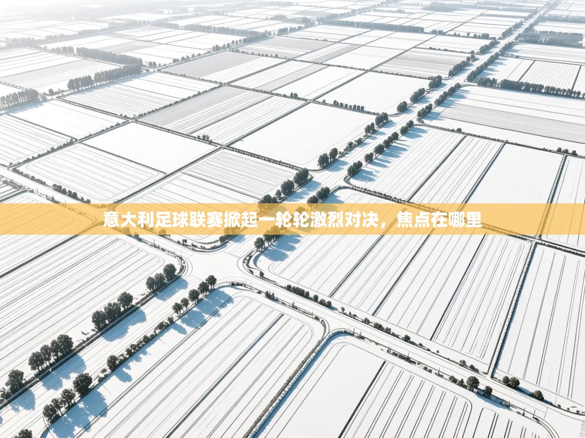 开云客服-意大利足球联赛掀起一轮轮激烈对决，焦点在哪里  第2张