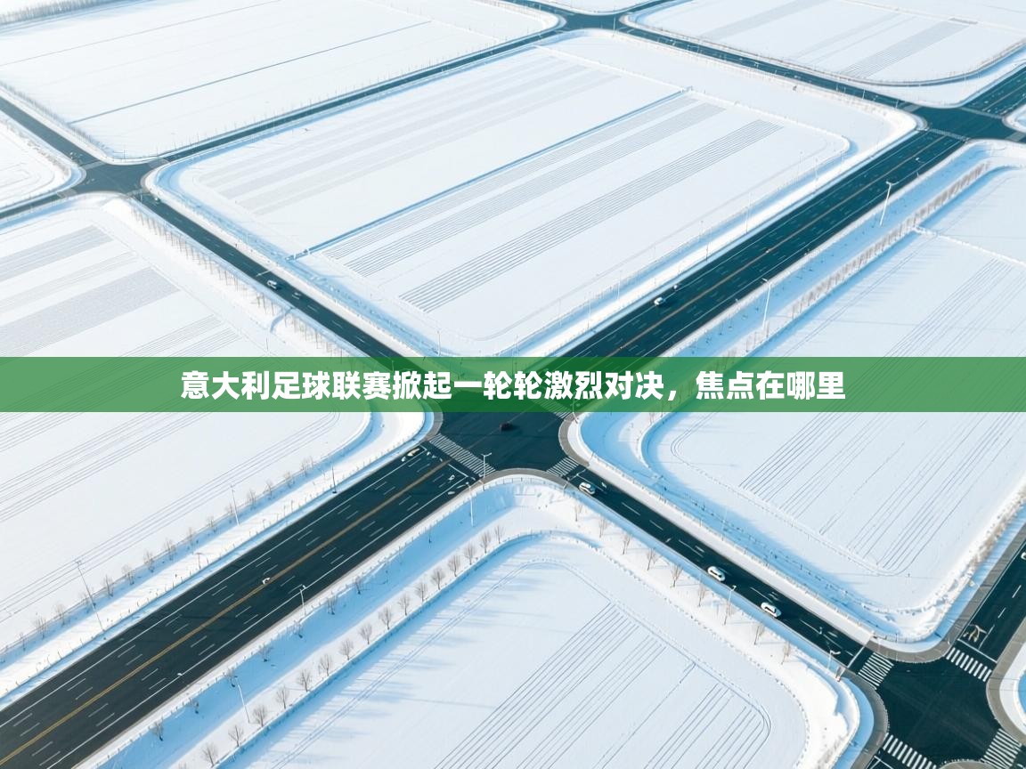 开云客服-意大利足球联赛掀起一轮轮激烈对决，焦点在哪里  第3张