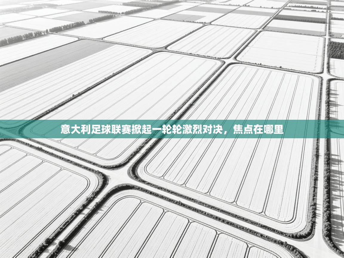 开云客服-意大利足球联赛掀起一轮轮激烈对决，焦点在哪里  第4张