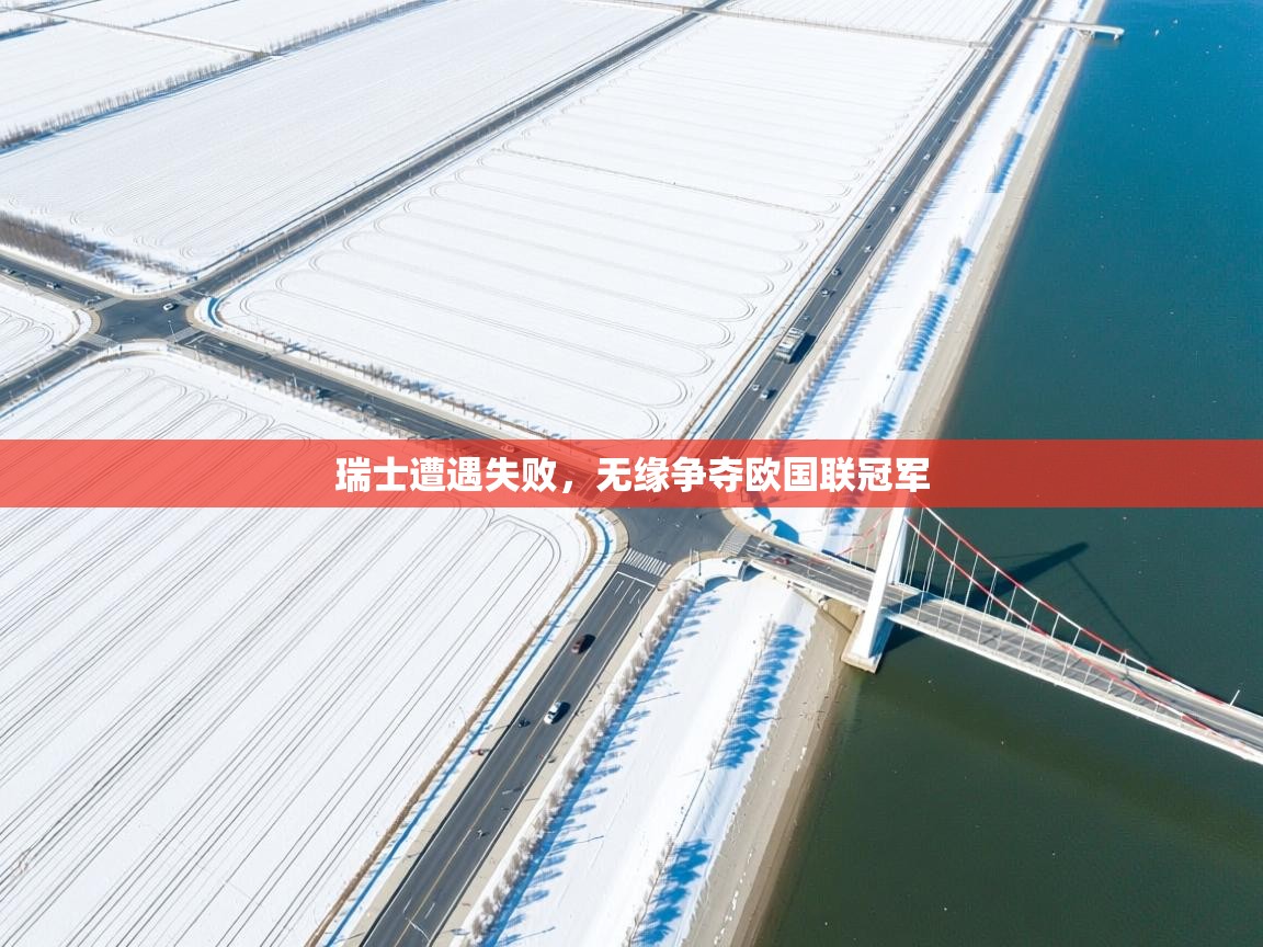 开云体育安装失败怎么办-瑞士遭遇失败，无缘争夺欧国联冠军  第2张