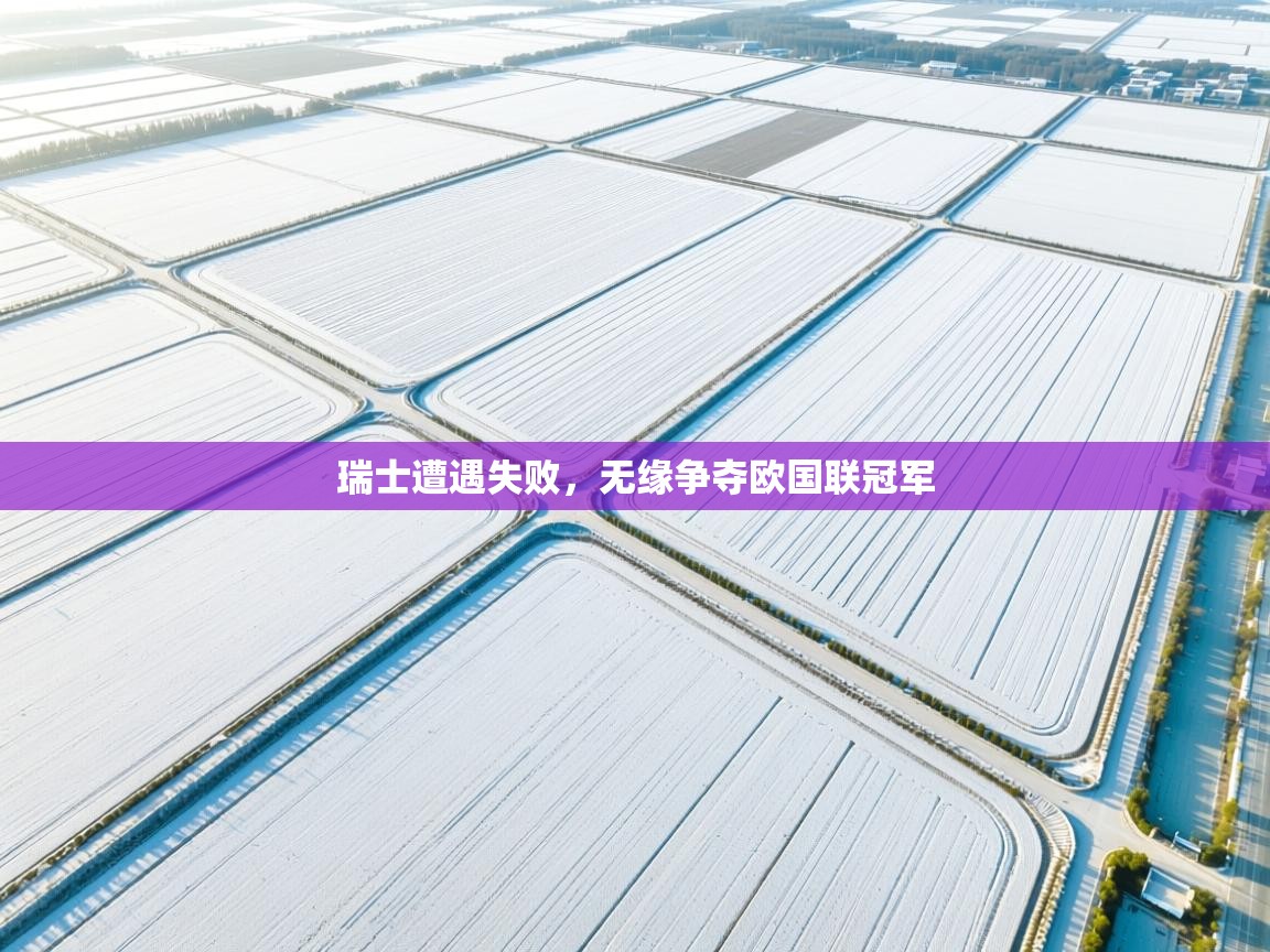 开云体育安装失败怎么办-瑞士遭遇失败，无缘争夺欧国联冠军  第3张