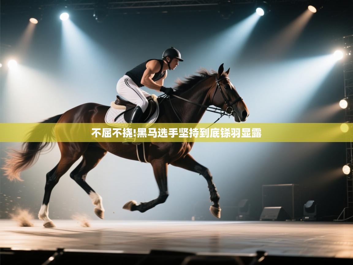 开云体育入口下载-不屈不挠!黑马选手坚持到底铩羽显露  第2张