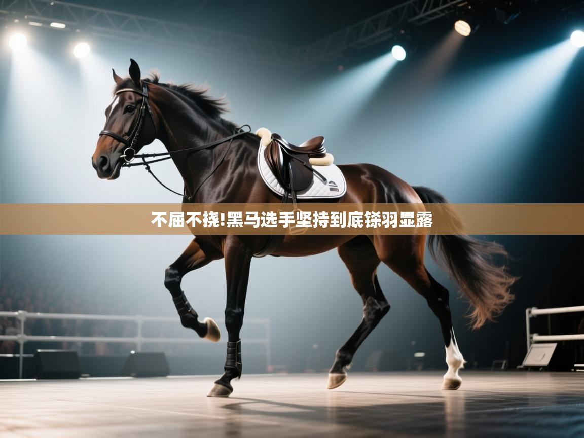 开云体育入口下载-不屈不挠!黑马选手坚持到底铩羽显露  第1张