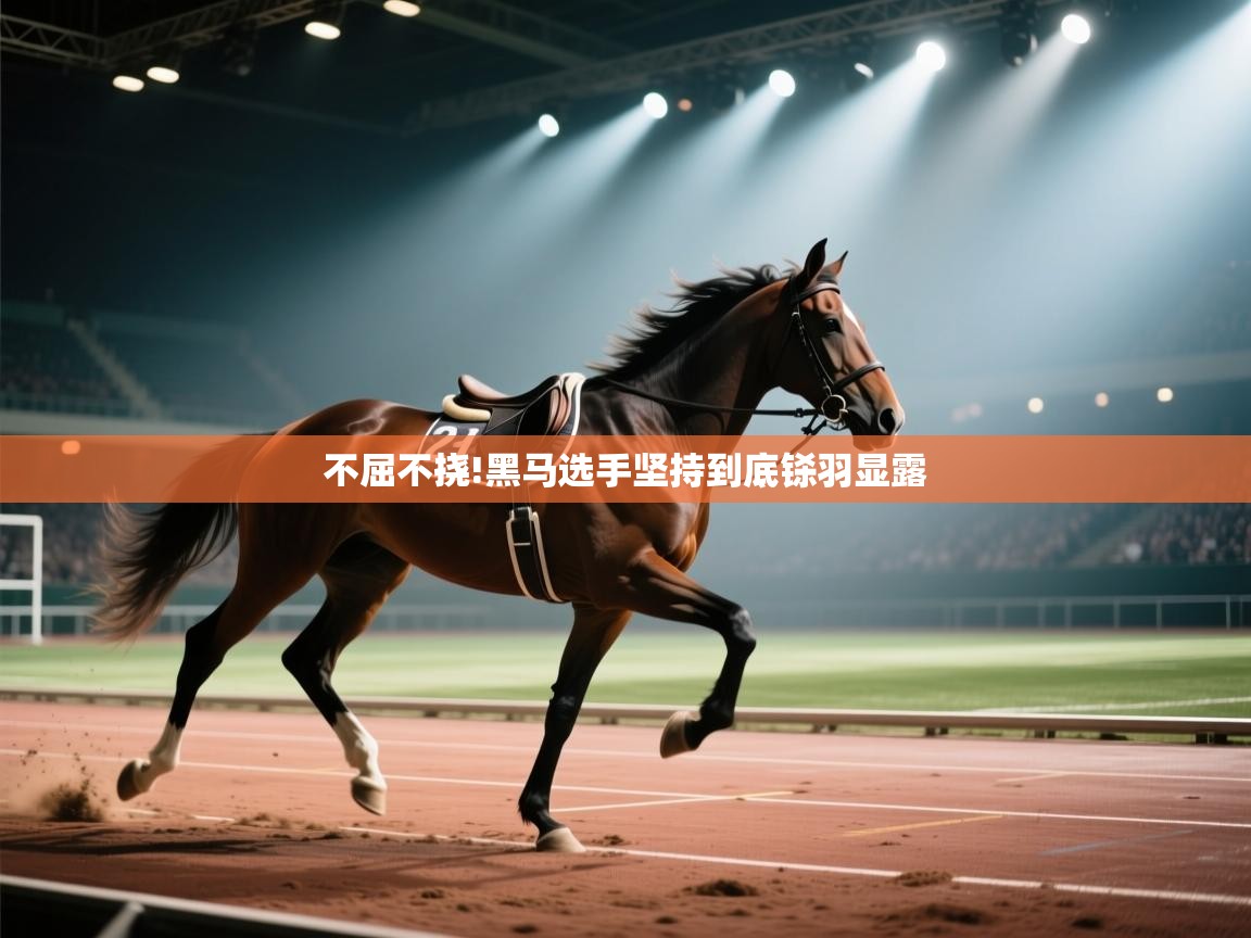 开云体育入口下载-不屈不挠!黑马选手坚持到底铩羽显露  第4张