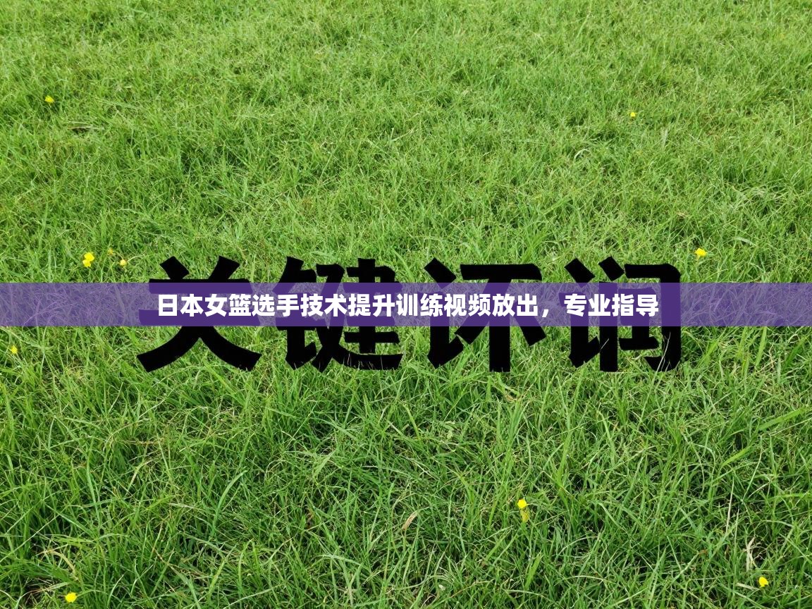 开云体育app官网入口网页版-日本女篮选手技术提升训练视频放出，专业指导  第2张